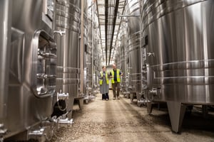 Chapel Down CS_TVT_10.11.2025-13